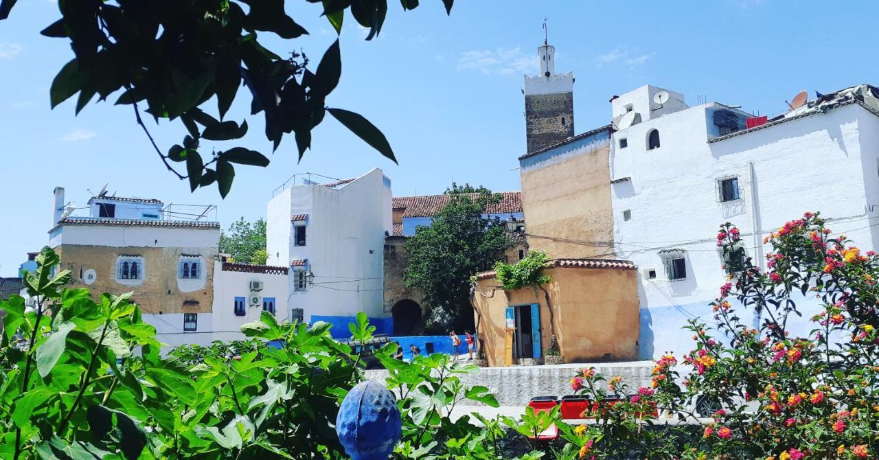 לינה וארוחת בוקר צ'פצ'אוונה Dar Essaouyry מראה חיצוני תמונה